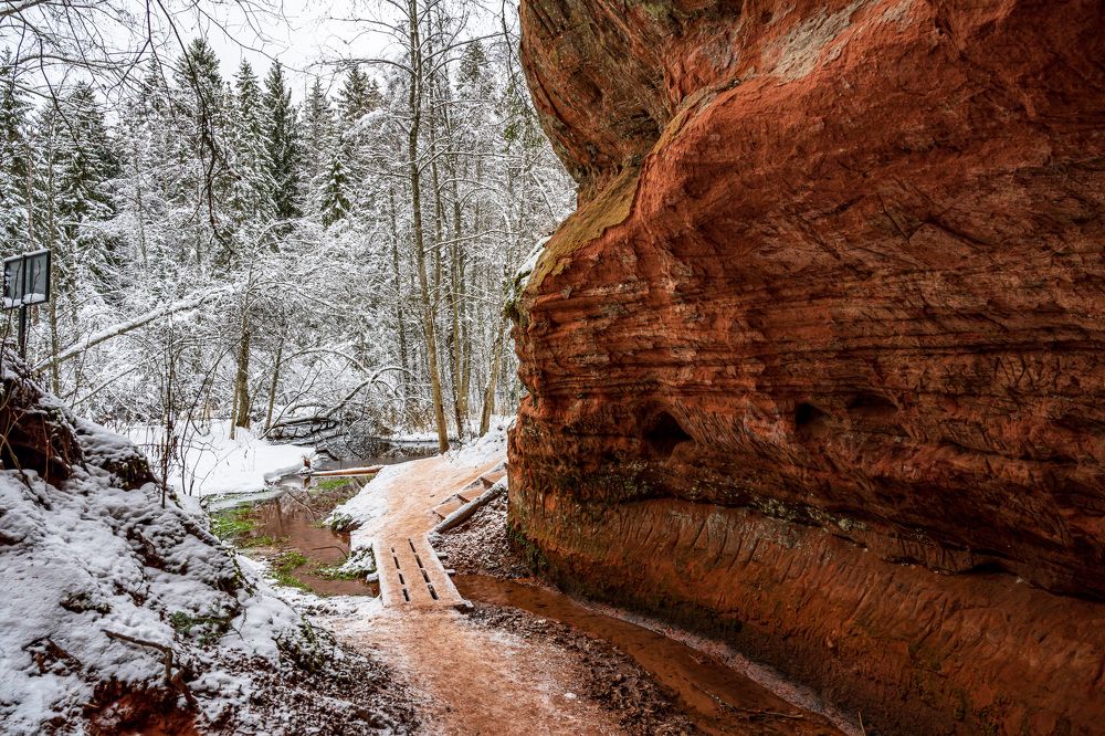 с. Рождествено