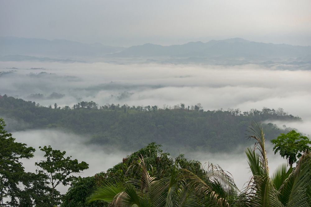 Photograph by Minhaj Mahmood