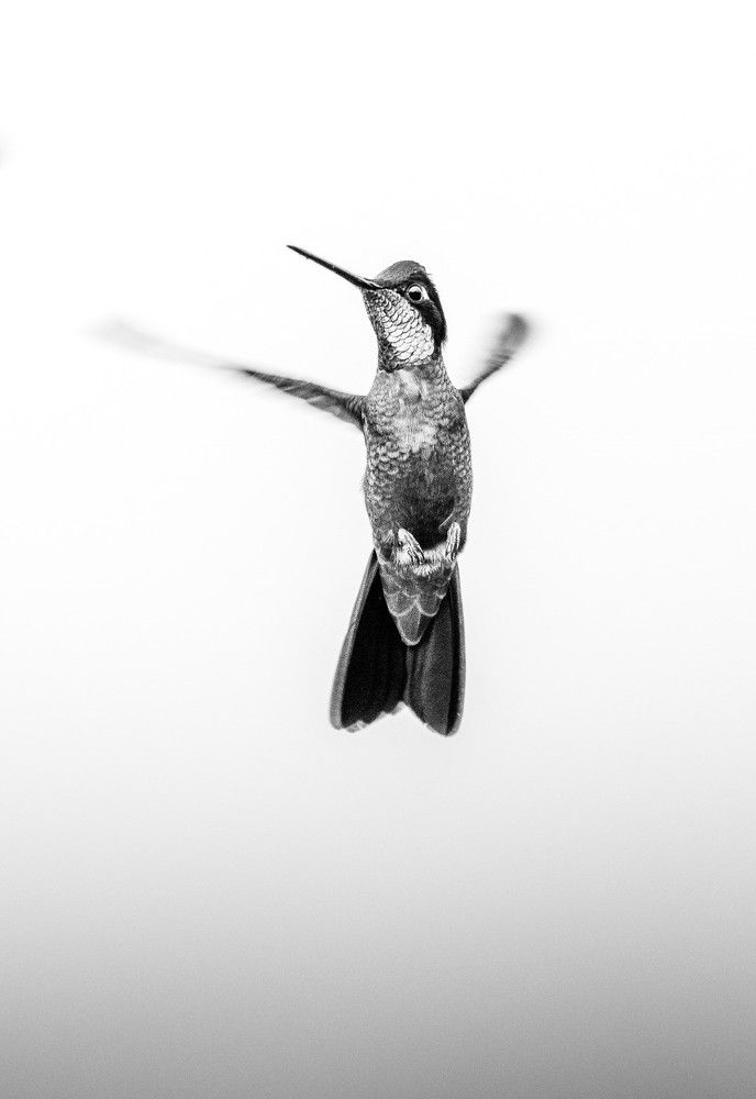 Photograph by Ricardo Ferreira