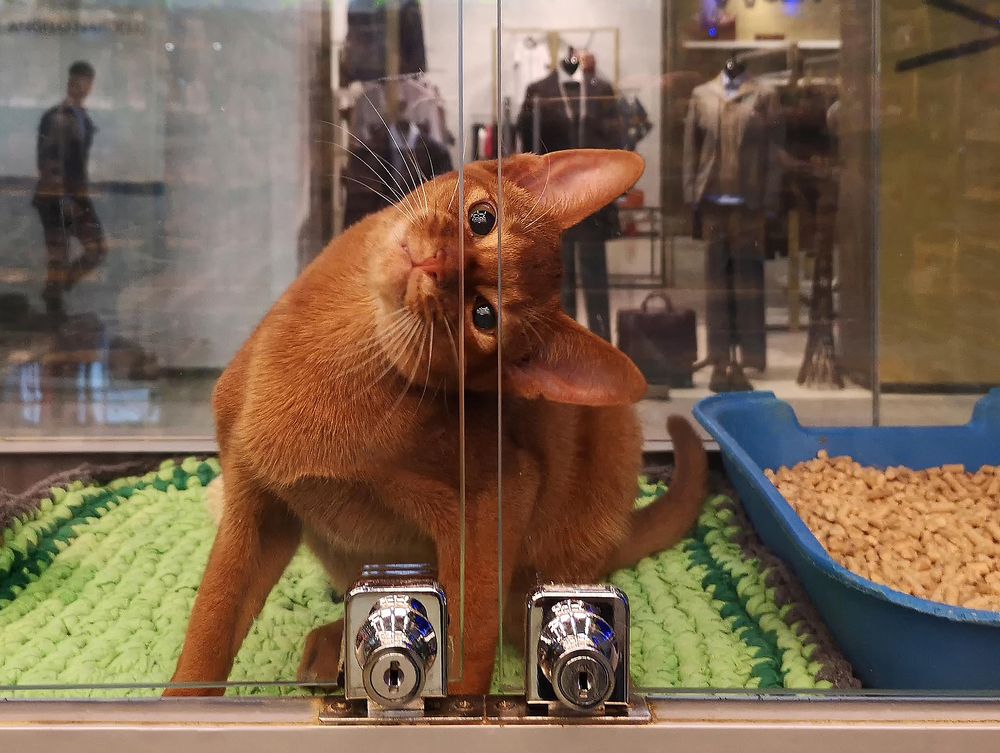 Photograph by Андрей Лысиков