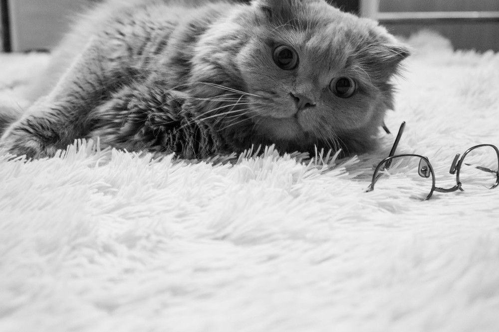 Photograph by Алина Байчурина