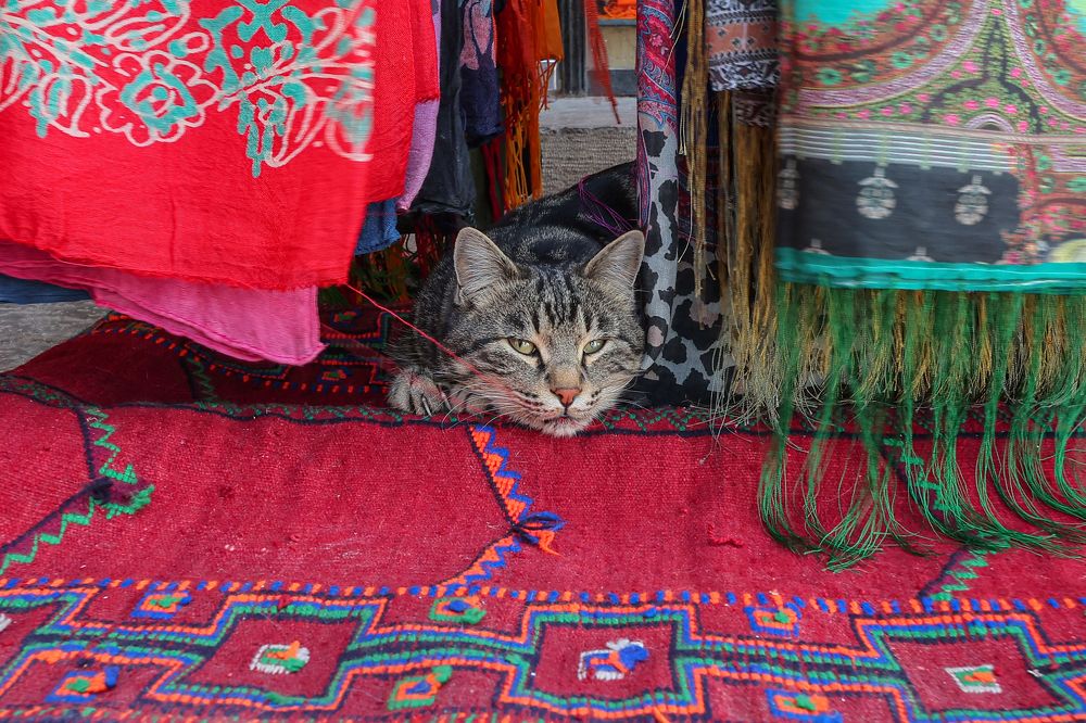 Photograph by Андрей Лысиков