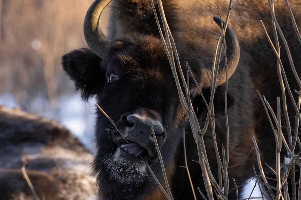 Photograph by Галина Павлова