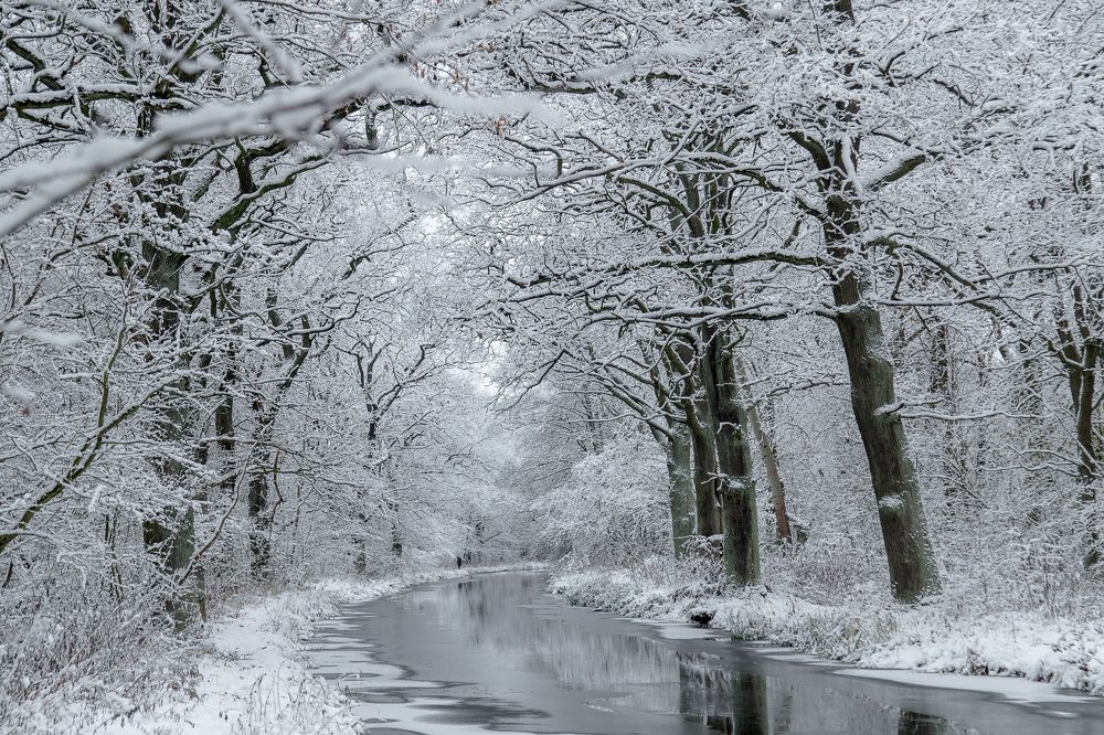 Photograph by Наталья Брюхненко