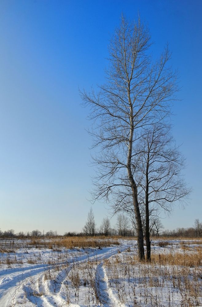 Солнечный день