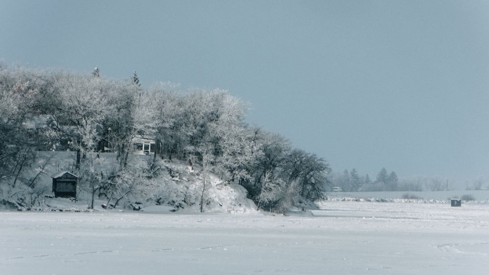 Photograph by Daniel Yelisieiev