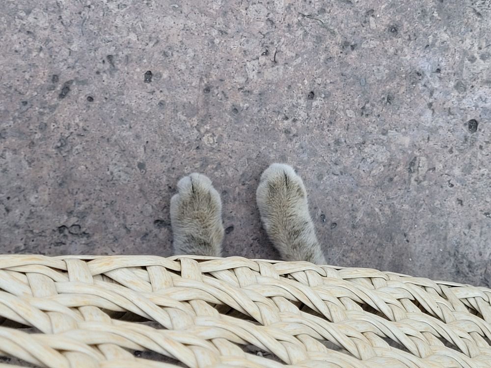 Photograph by Rahele Almassi