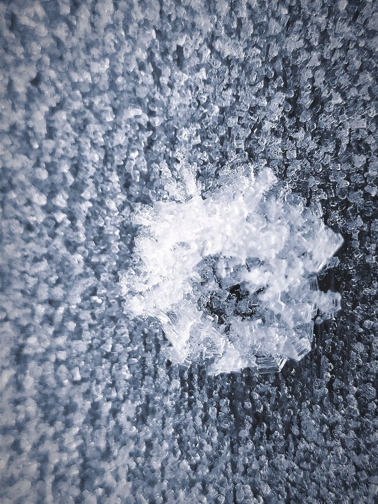 Photograph by Оксана Радзиевская