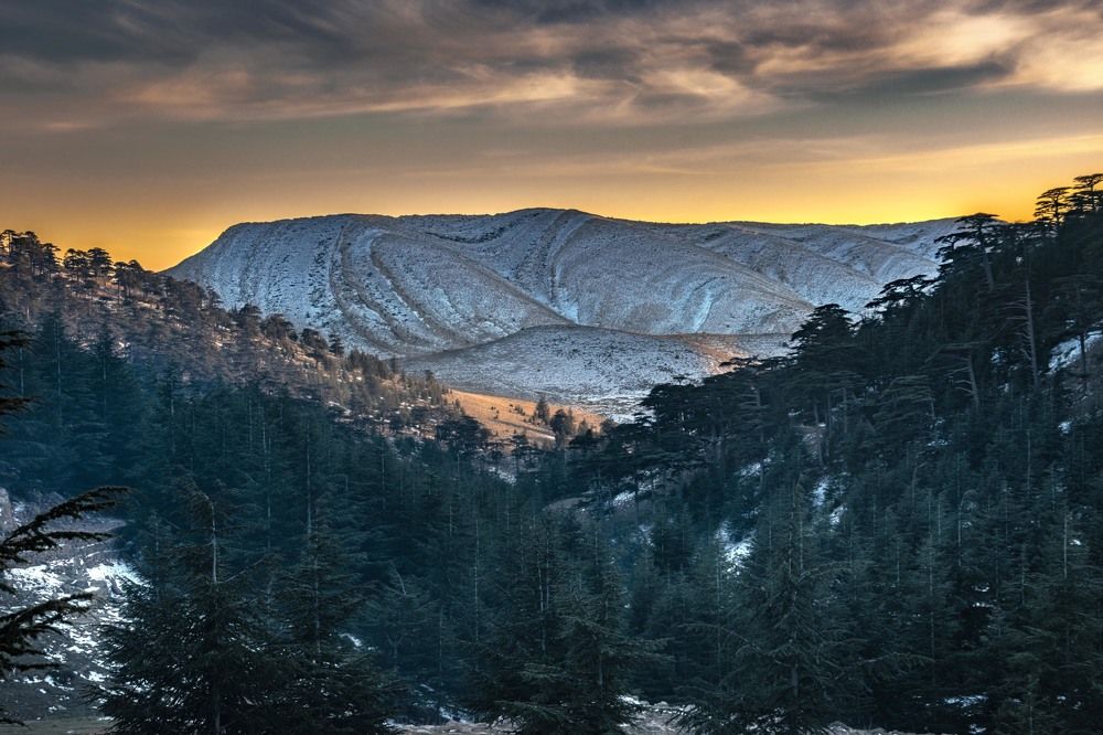 Photograph by Fehd Ghammit