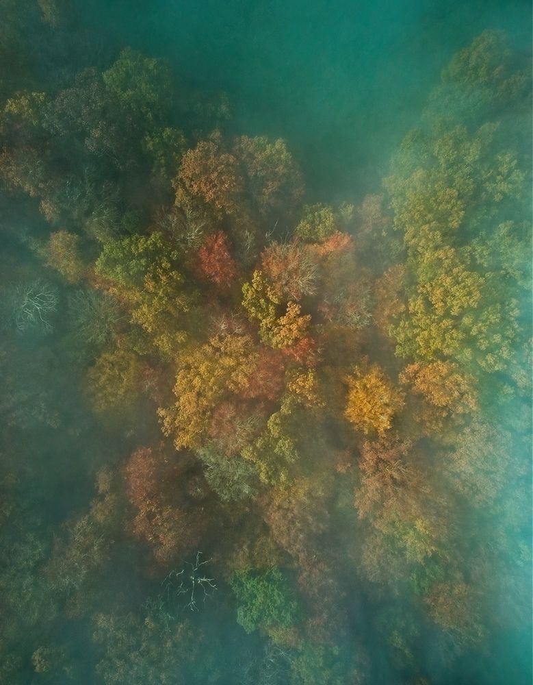 Photograph by Frank Proost