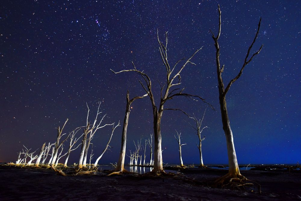 Photograph by SI SABER LOTFI