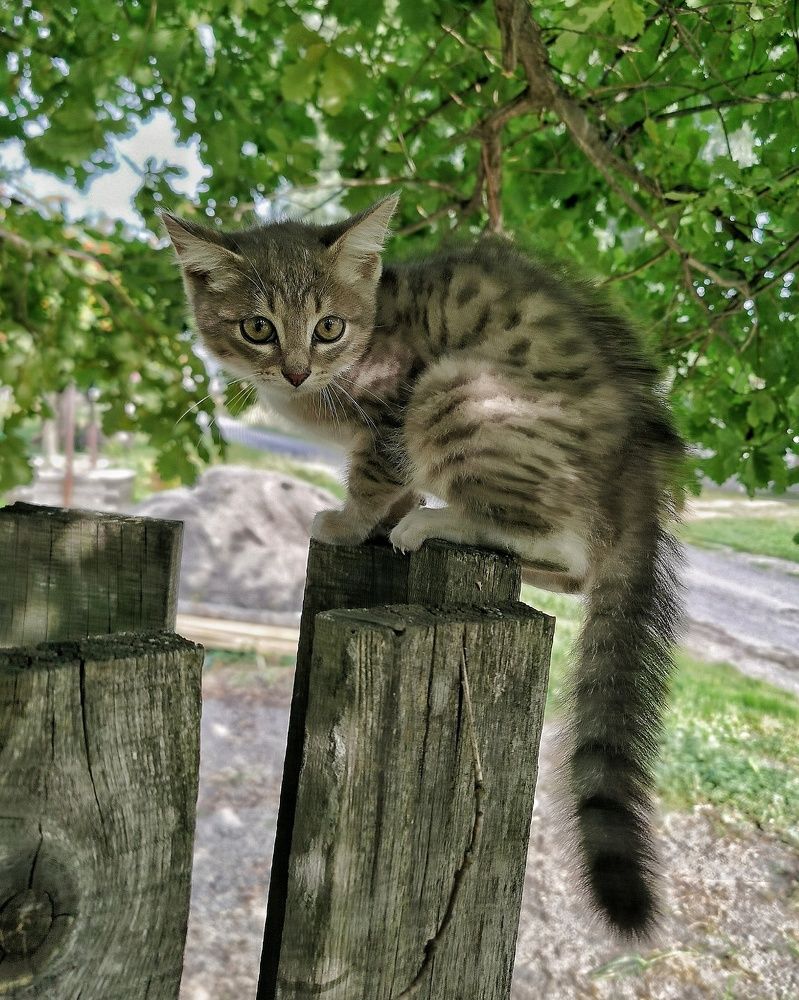 Photograph by Наталья Сафронова