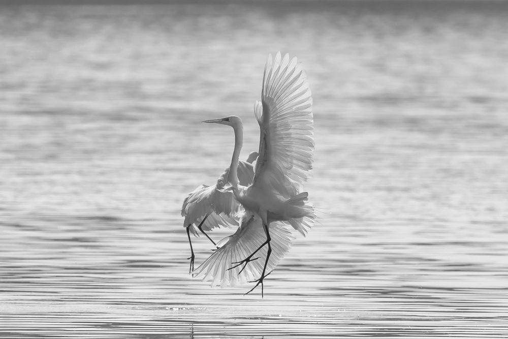 Photograph by Aлена Плясова