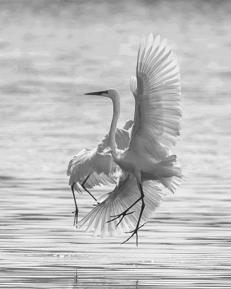 Photograph by Aлена Плясова