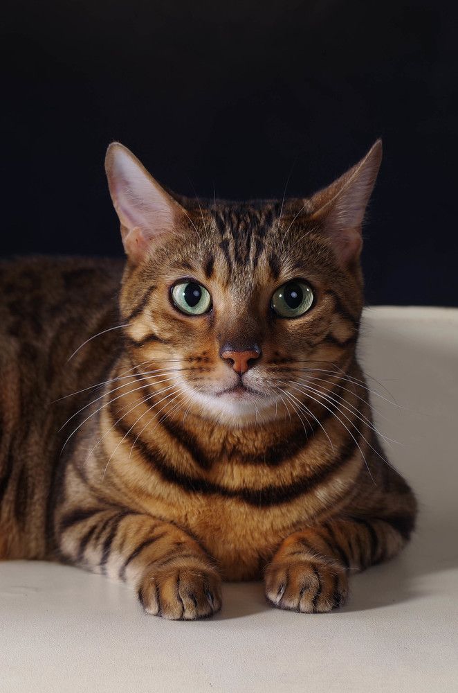 Photograph by Сергей Конопленко