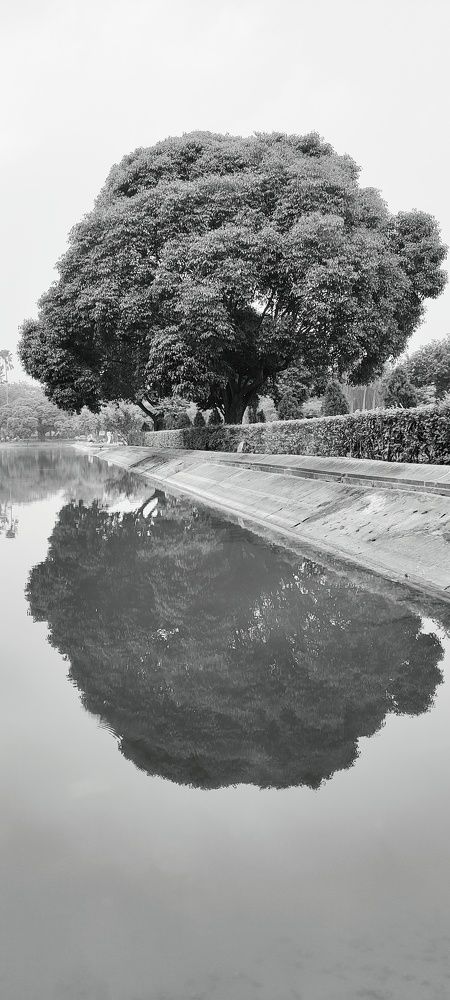 Photo #8679610