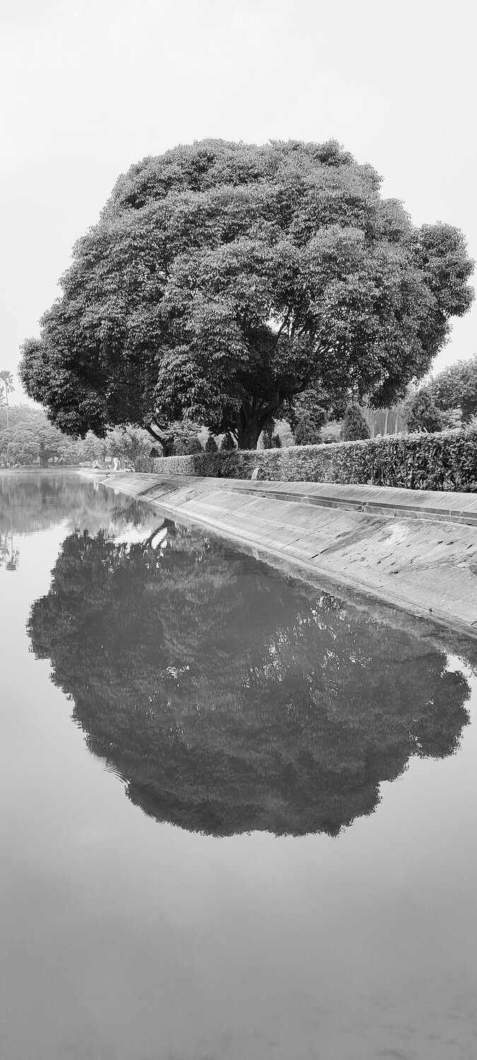 Photo #8679610
