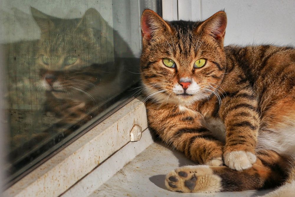 Photograph by Екатерина Цвиркунова