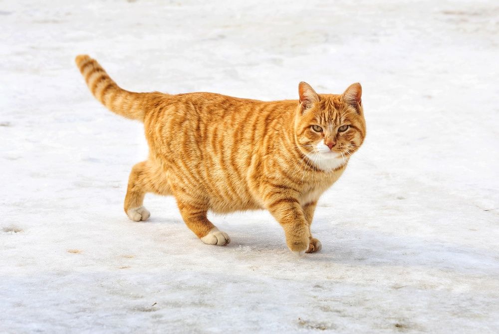 Photograph by Екатерина Цвиркунова