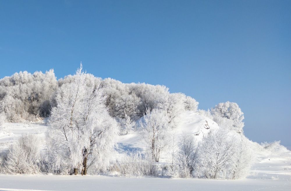 Фотография автора Александр А.