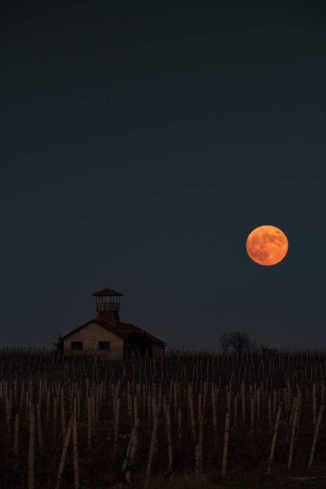 Photograph by Marija Filevska