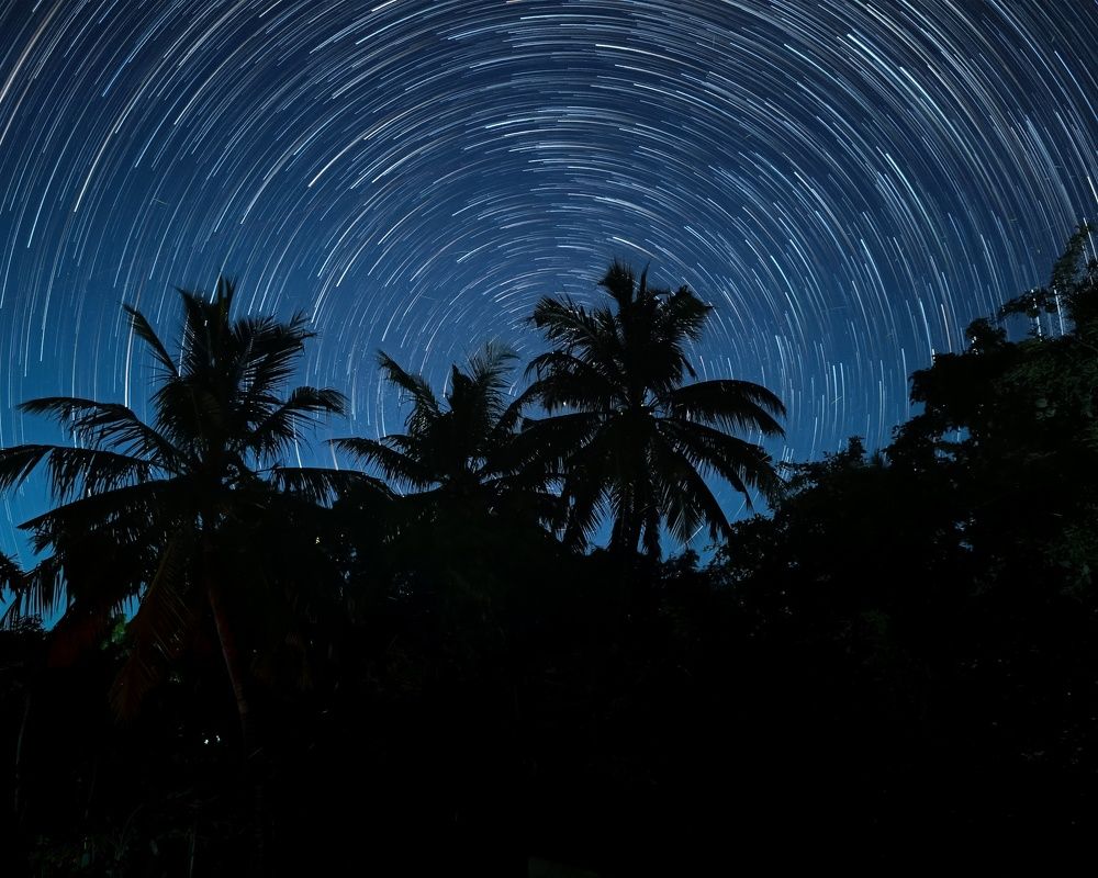 Photograph by Pradyumna Kumar Biswal