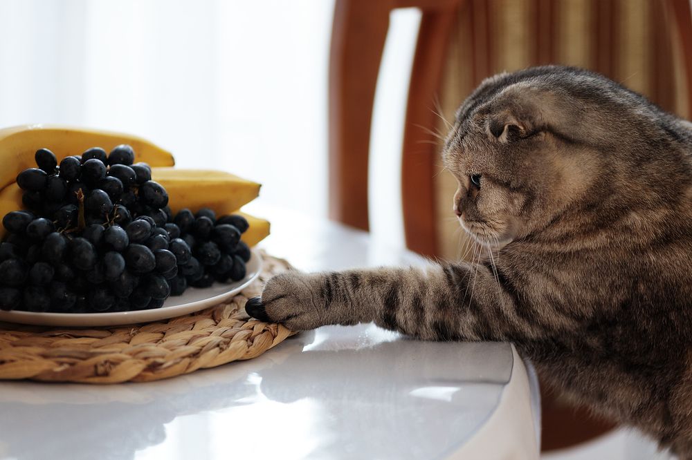 Photograph by Евгения Цыганова