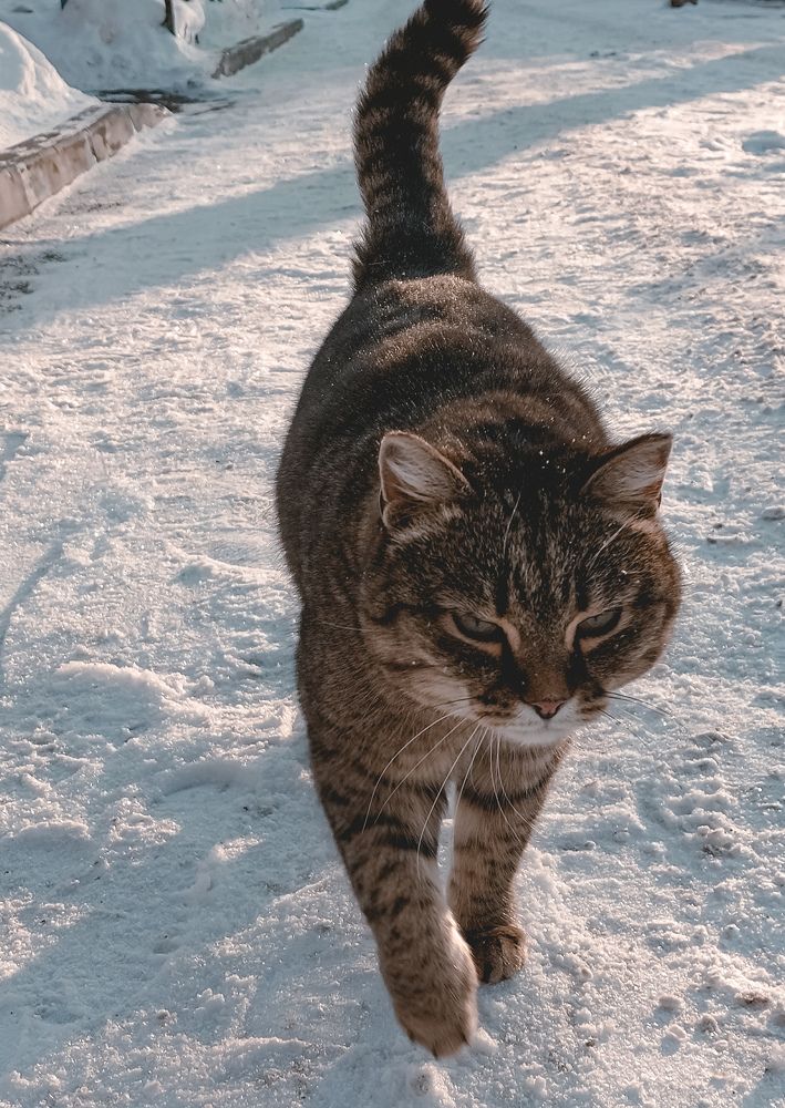 Photograph by Светлана Шиляева