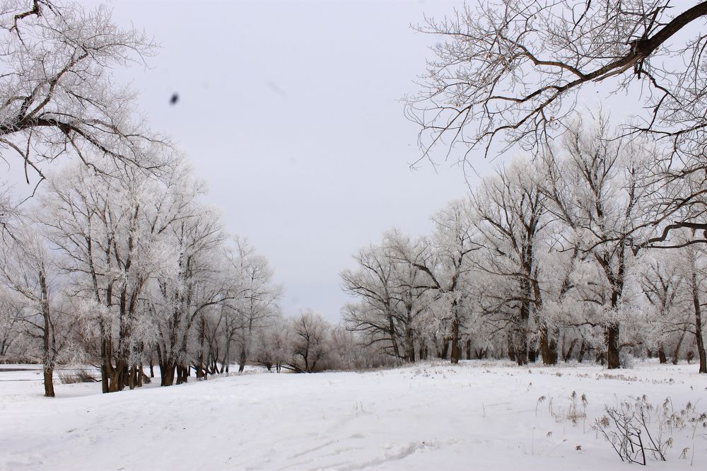 Photograph by Евгения Митюшкина