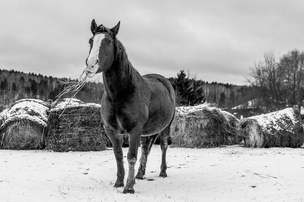 Photograph by Вера Олина