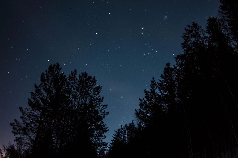 Photograph by Егор Пакулин