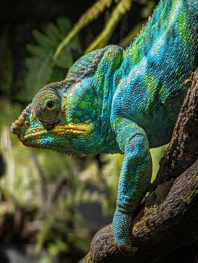 Photograph by Артем Солдатов