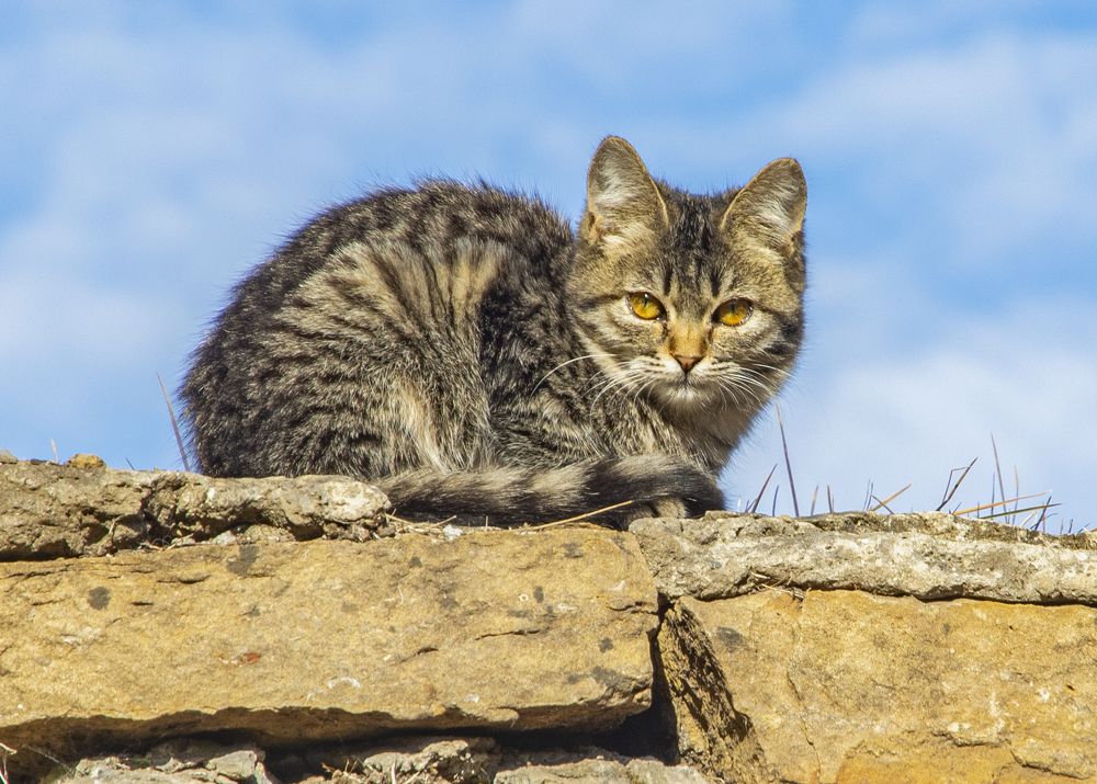 Photograph by Сергей Савчук