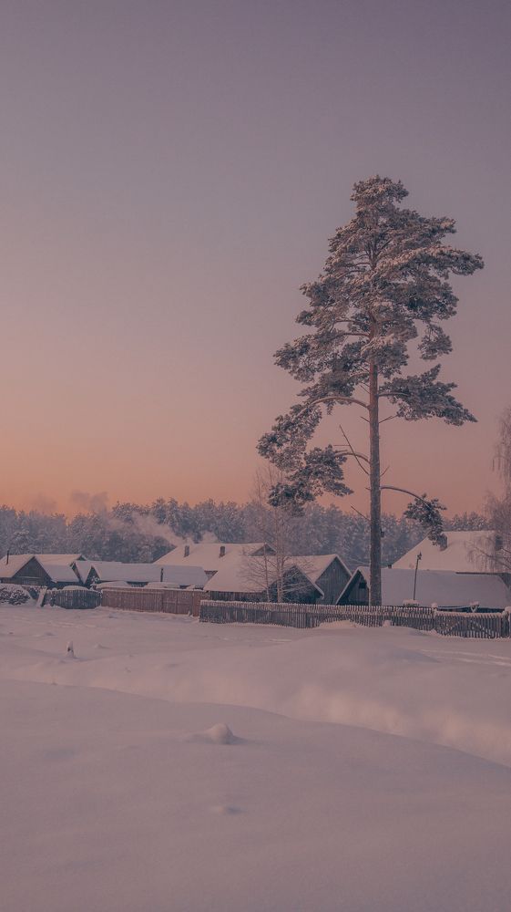 Photograph by Евгений Калагаев