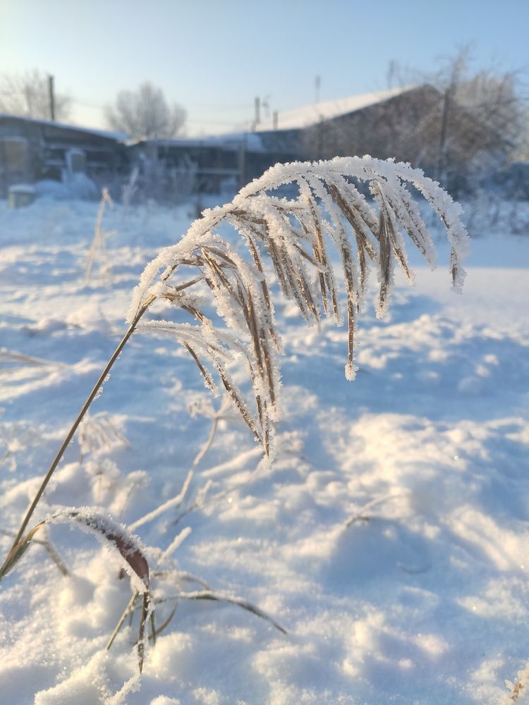 Photograph by Татьяна Панченко