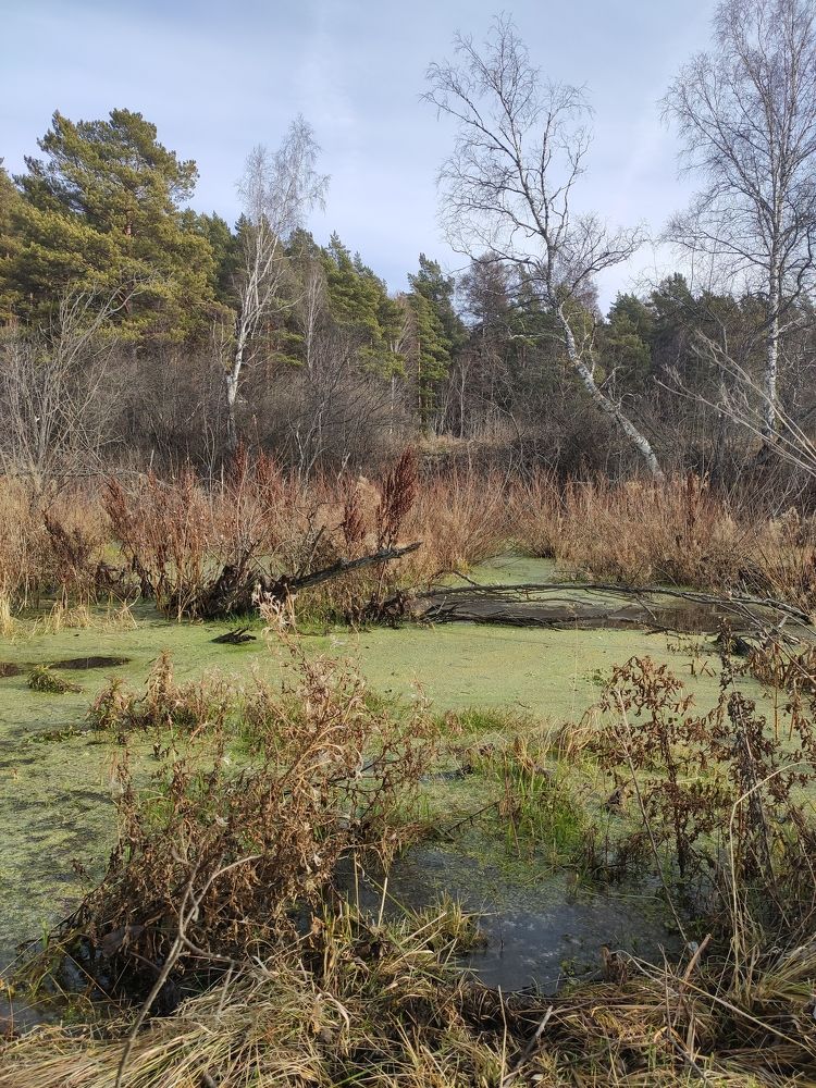 Photograph by Татьяна Панченко