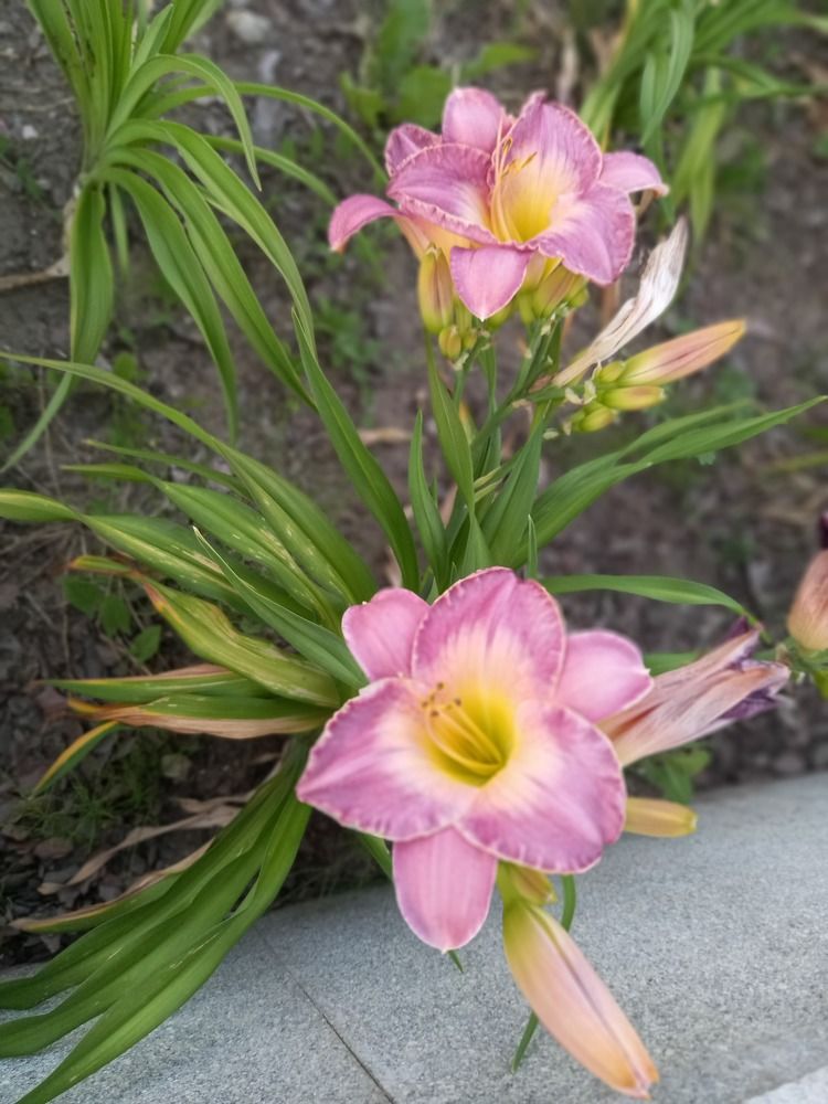 Photograph by Наталья Сергеевна Крылова