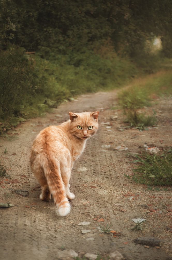 Photograph by Сивенок Елена