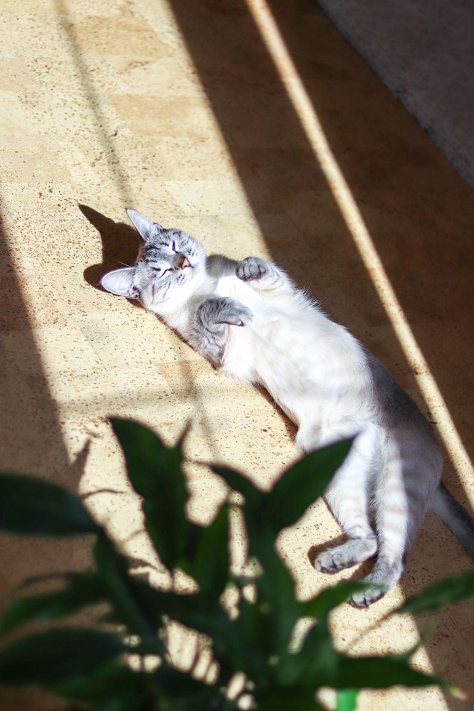 Photograph by Гульназ