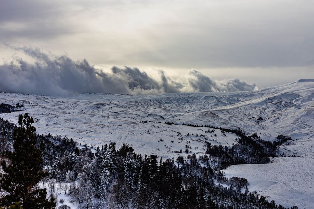 Photograph by Андрей Скорняков