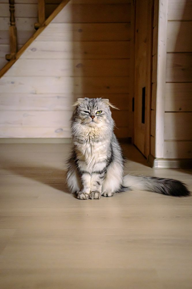 Photograph by Анастасия Белякова