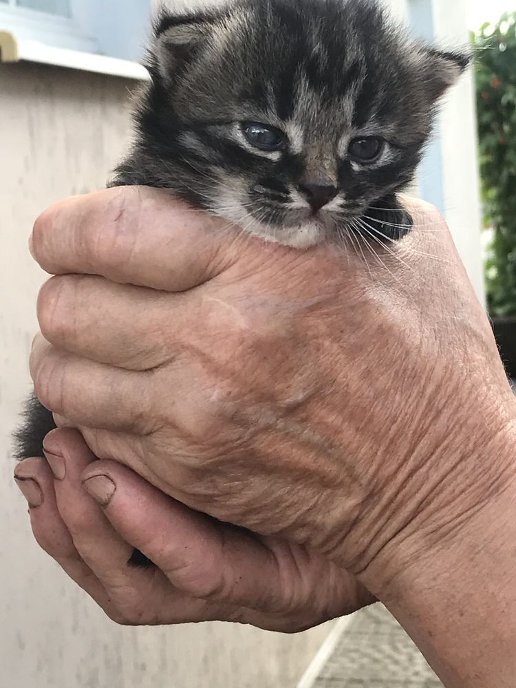 Фотография автора Наталья Васько -Черданцева