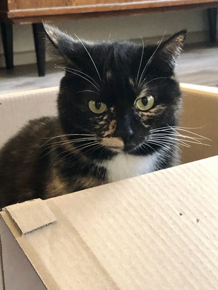 Фотография автора Наталья Васько -Черданцева