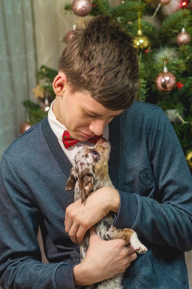 Photograph by Демьян Лопатов