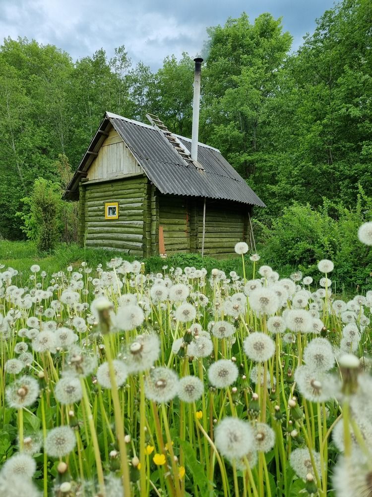 Photograph by Наталья Королева