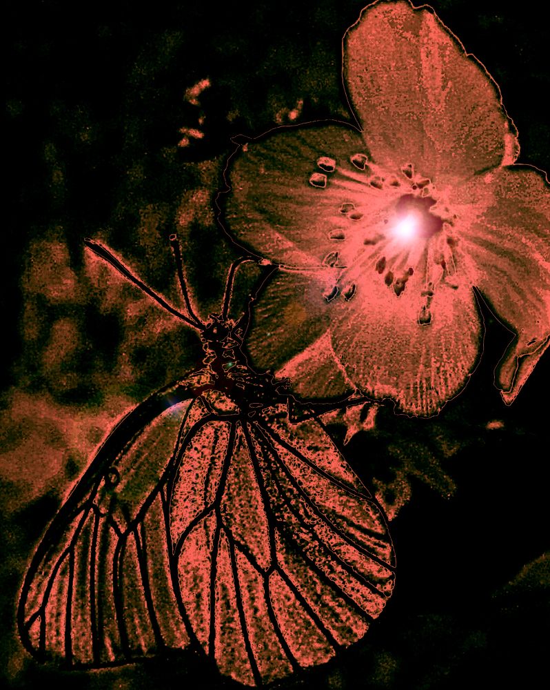 Photograph by Игорь Быков