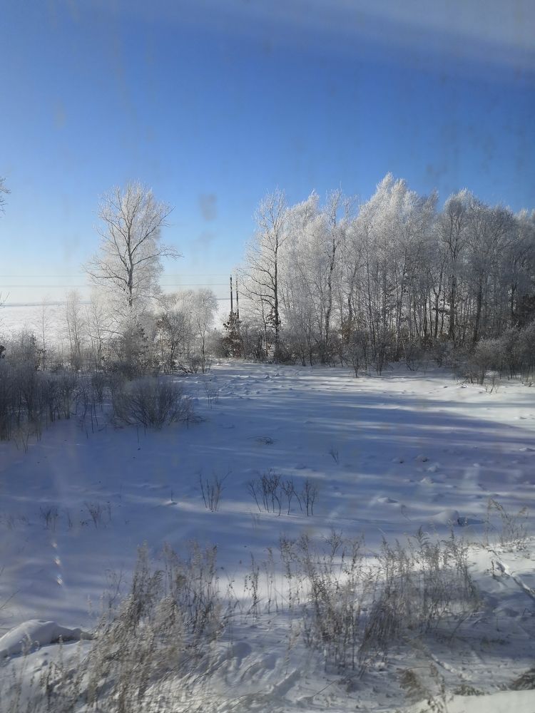 Photograph by Светлана Шматко