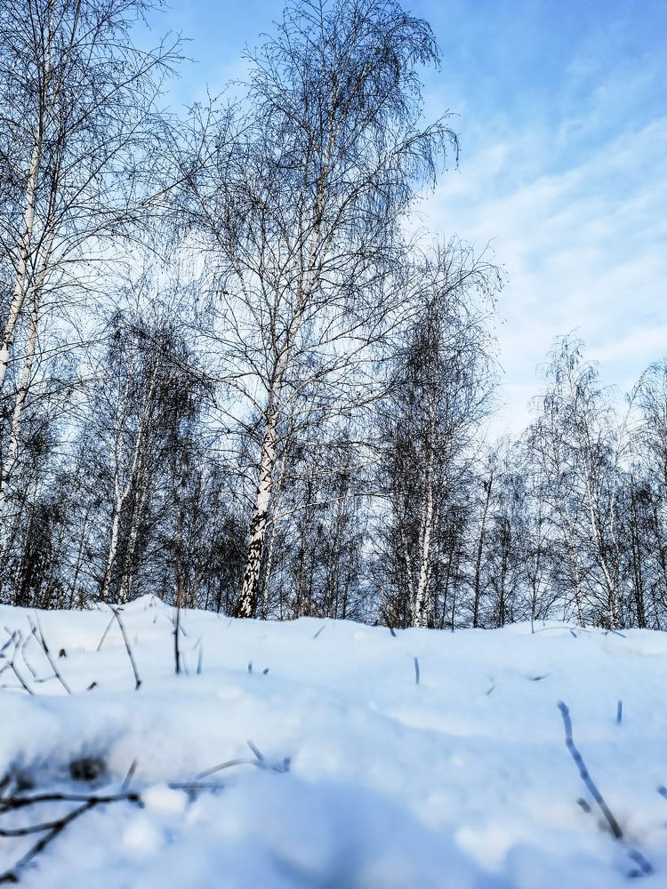 Photograph by Анна Петриенко