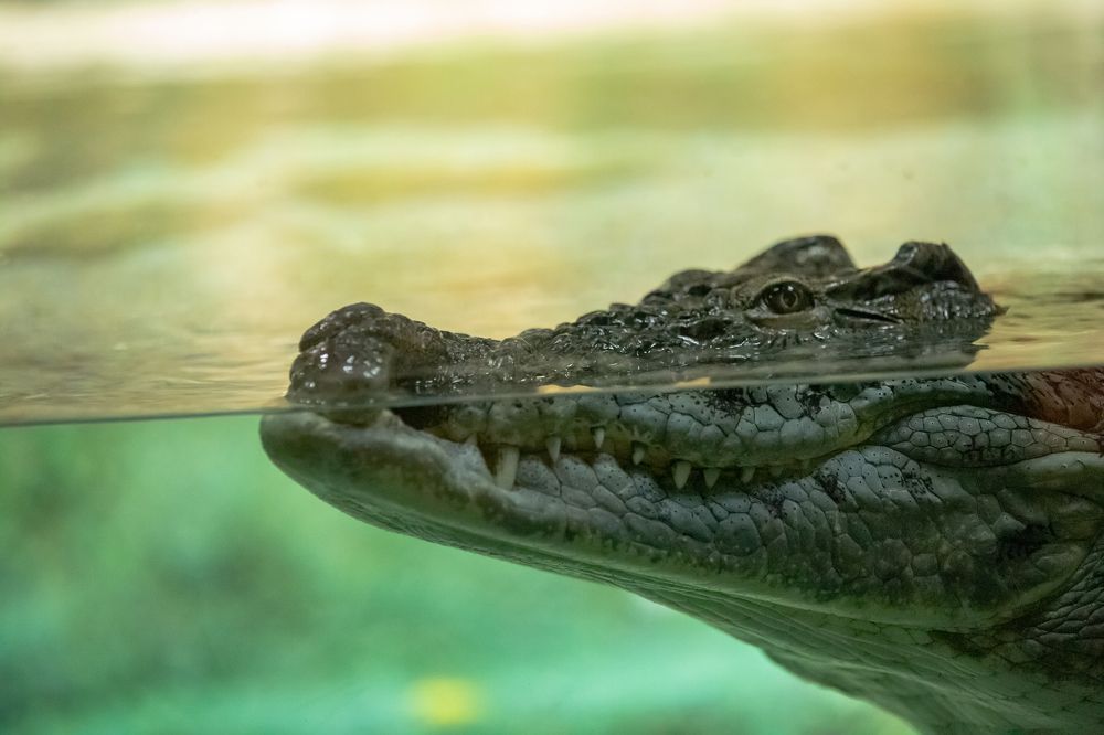 Photograph by Teymur Mammadov