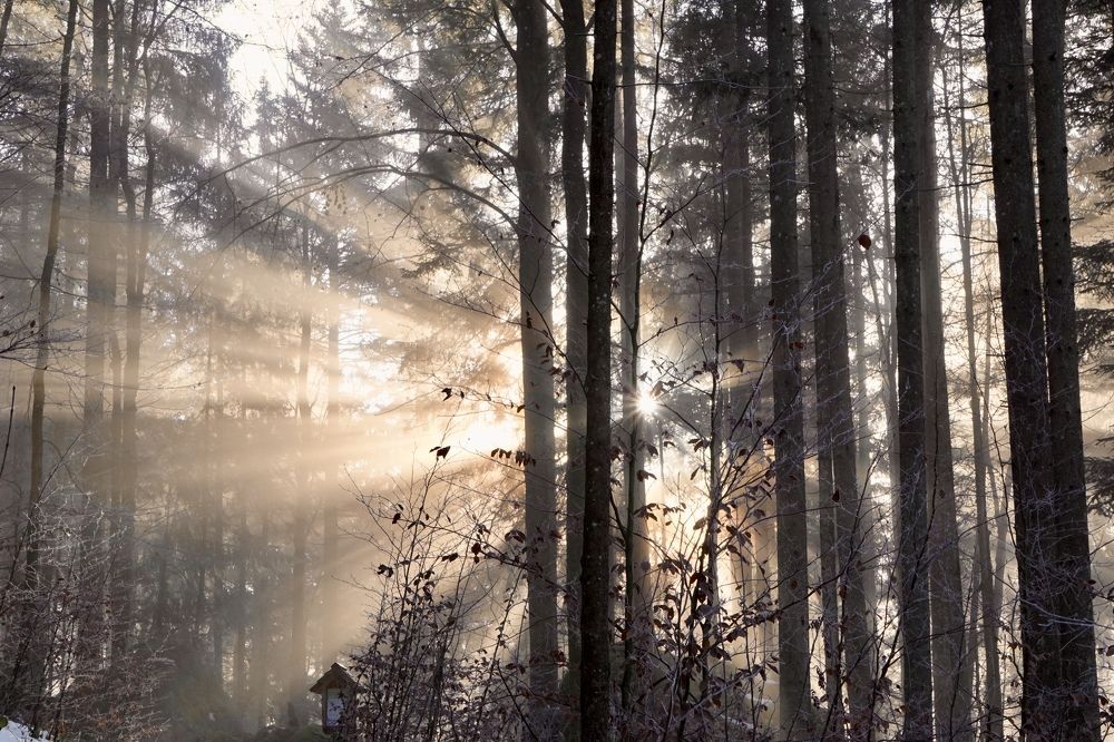 Фотография автора Liudmila Kiermeier